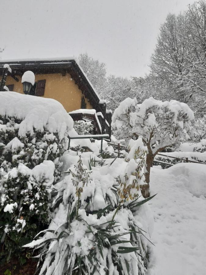Casa Amici Del Bosco Bed and Breakfast Medolago Εξωτερικό φωτογραφία