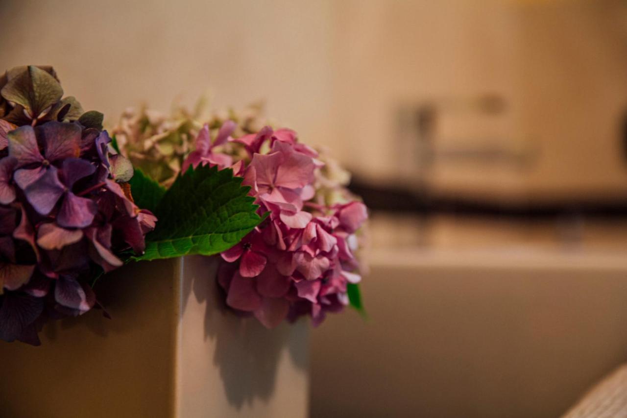 Casa Amici Del Bosco Bed and Breakfast Medolago Εξωτερικό φωτογραφία